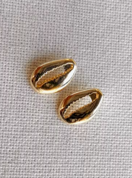 Gold Filled Cowrie Studs