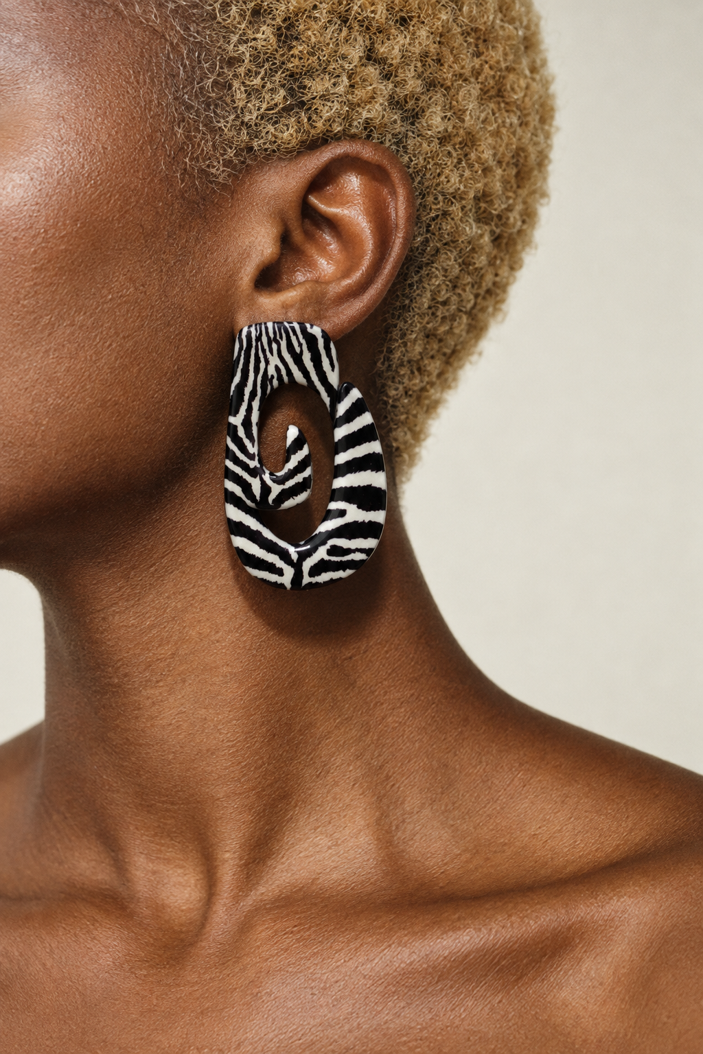 Zebra Maximalist Posts