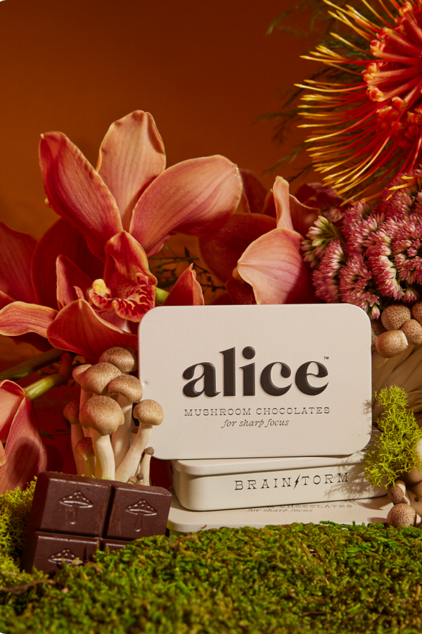 Brainstorm — Mushroom Chocolates for Focus