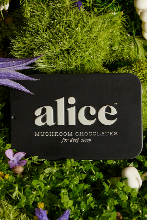 Nightcap — Mushroom Chocolates for Deep Sleep
