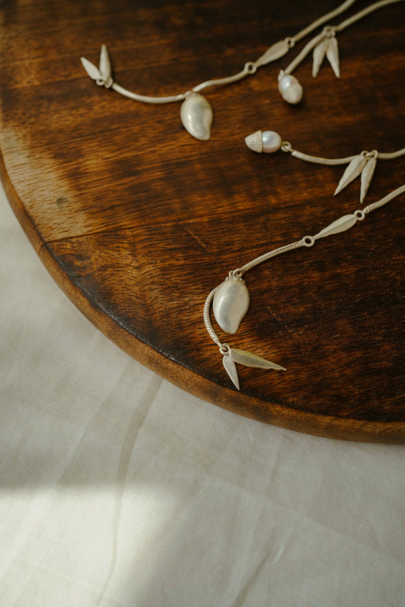 Mango Stems
