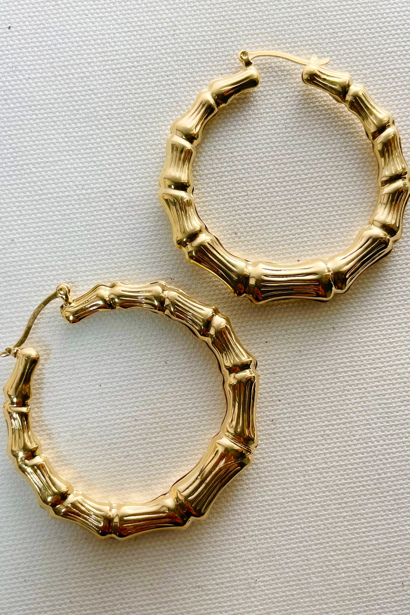 Gold Filled Bamboo Hoops