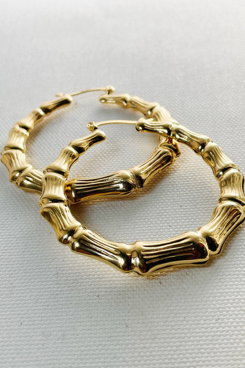 Gold Filled Bamboo Hoops