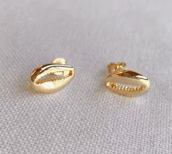 Gold Filled Cowrie Studs