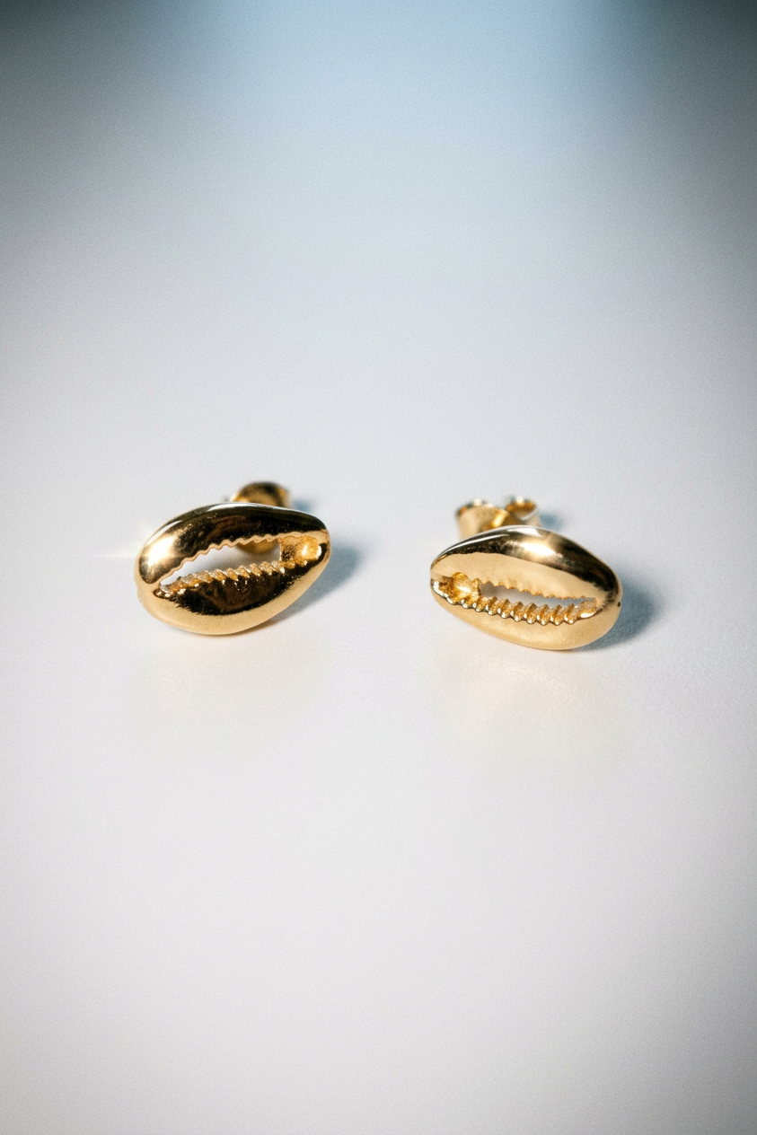 Dainty Gold Filled Cowrie Studs