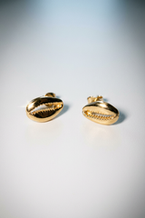 Dainty Gold Filled Cowrie Studs