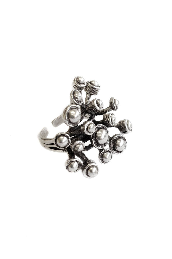 Antenna Ring