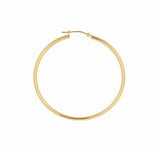 Thin Gold Filled Hoops